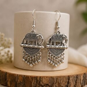 5-Pair Earring Combo Set